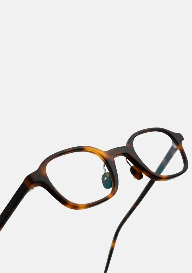Meraki Tortoise