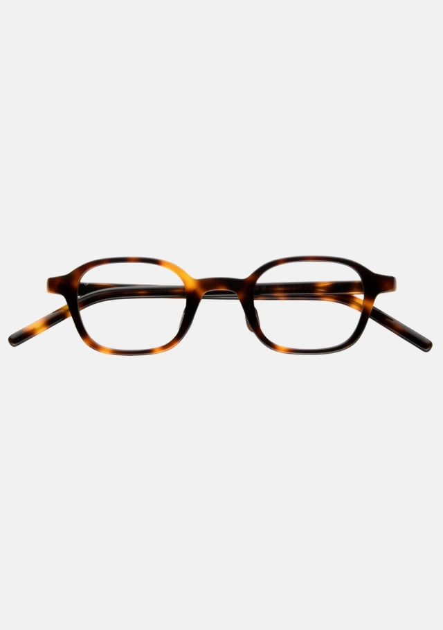 Meraki Tortoise